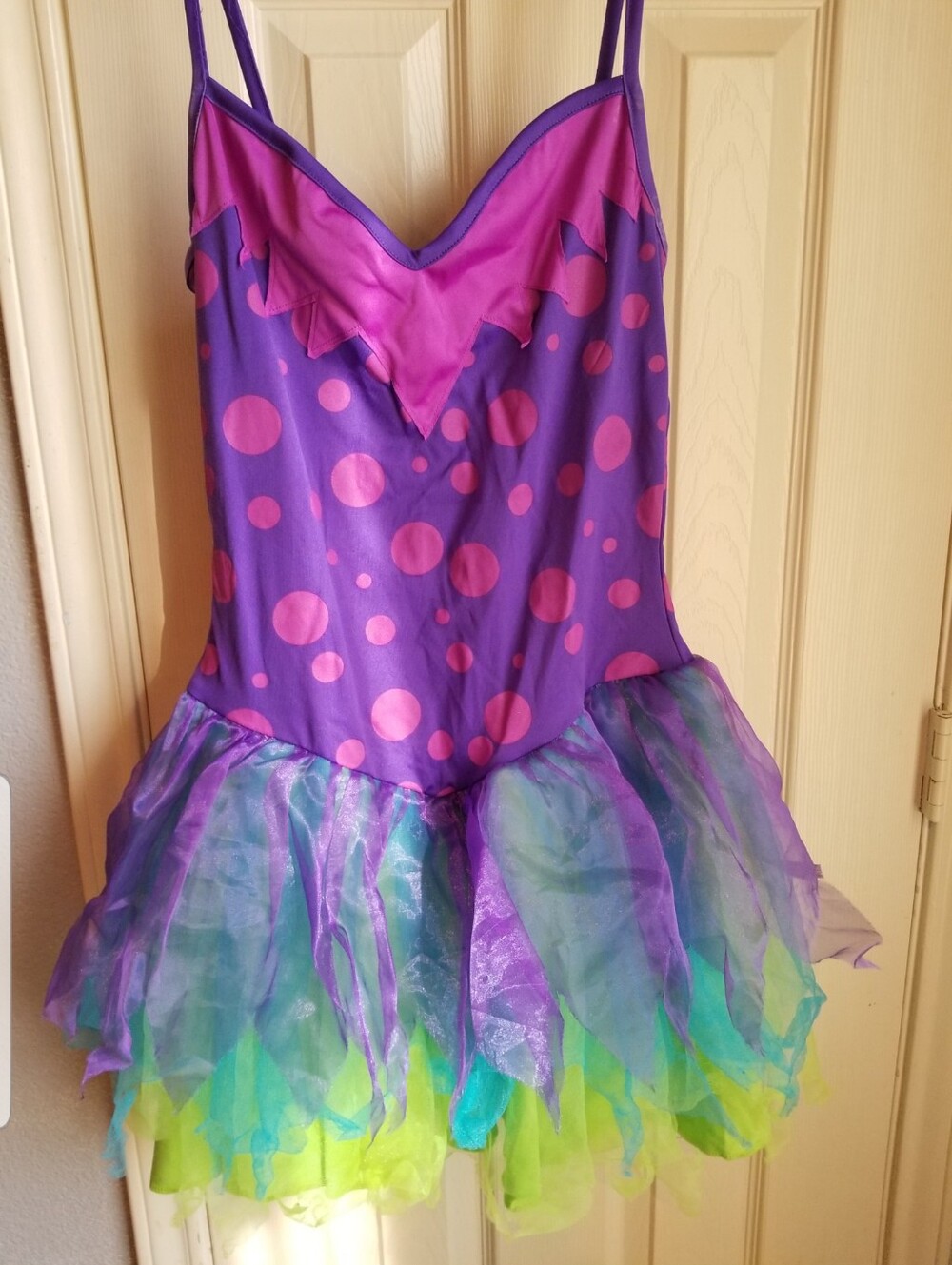 Princess Fairy Costume